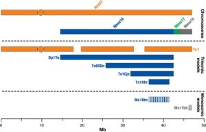 Down Syndrome - Child Neurology Center